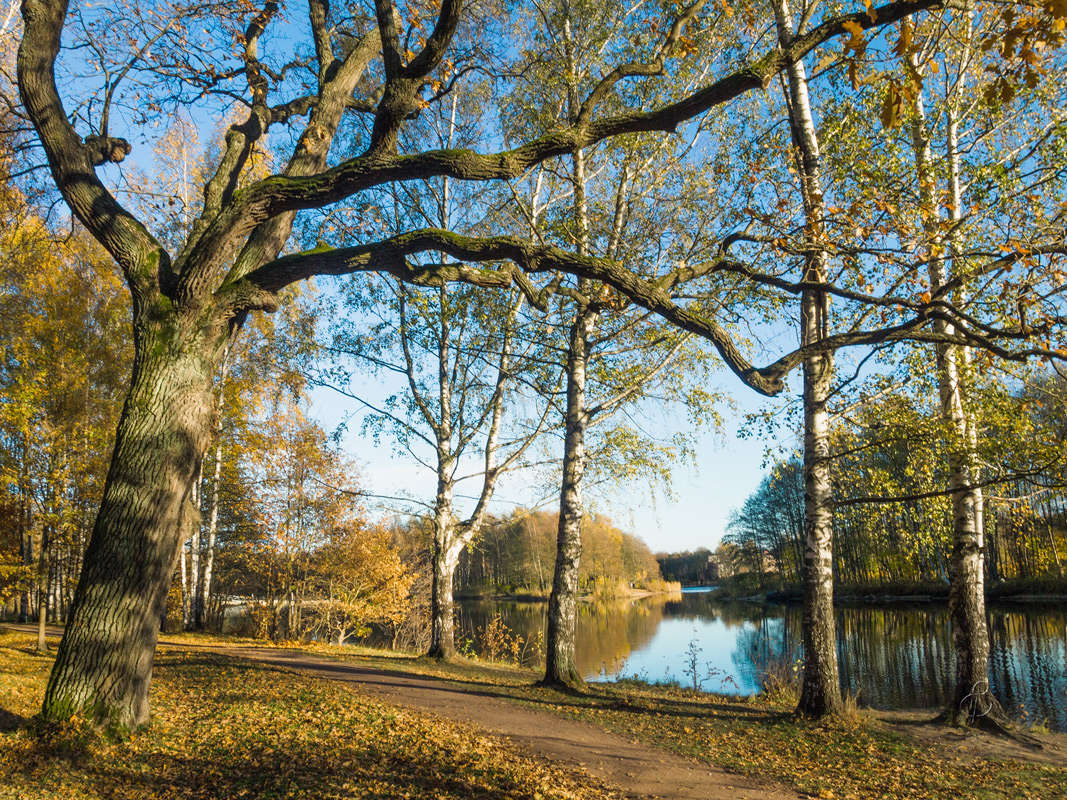 *** ����� Vitaly Konakov �� PhotoGeek.ru #������ ��� ������� #����� ��������