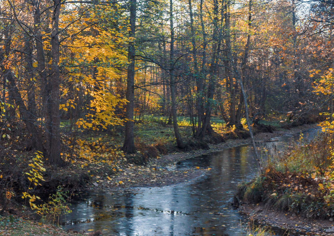 *** ����� Vitaly Konakov �� PhotoGeek.ru #������ ��� ������� #����� ��������