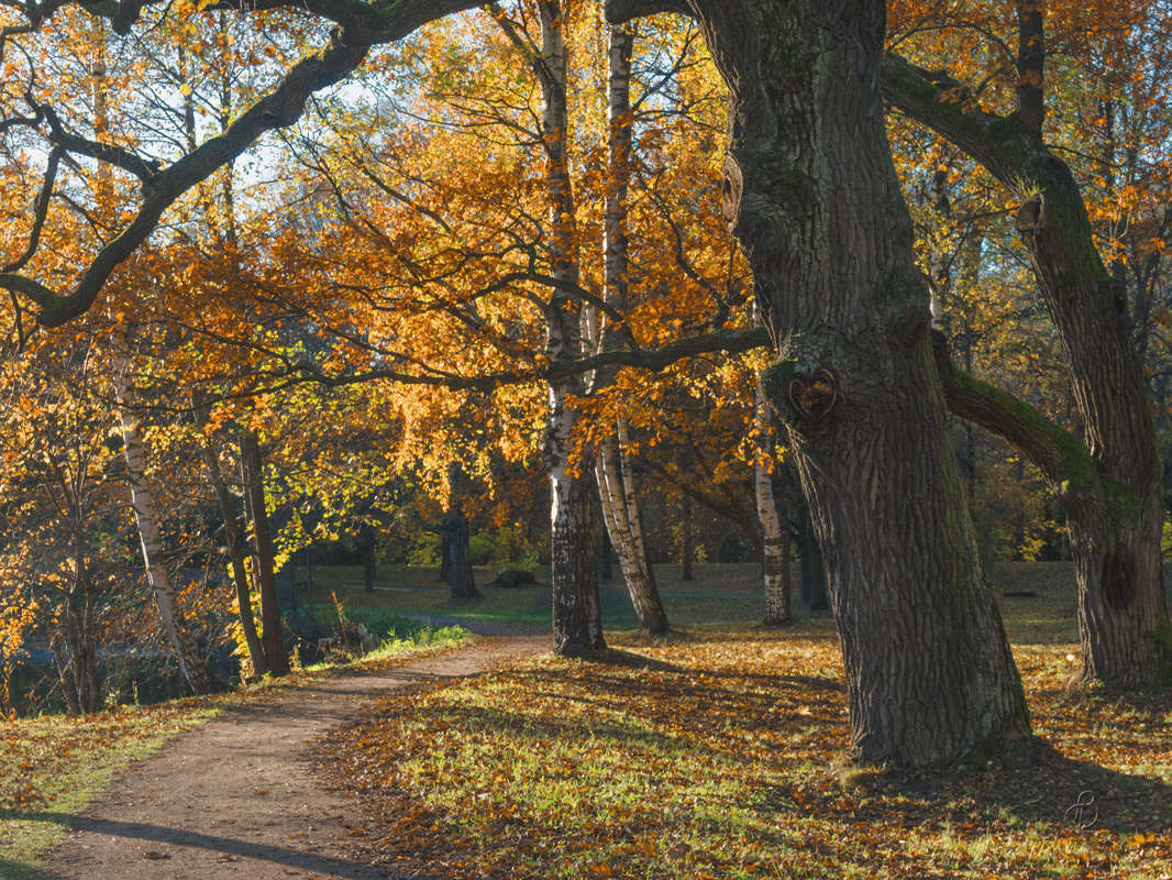 *** ����� Vitaly Konakov �� PhotoGeek.ru #������ ��� ������� #����� ��������