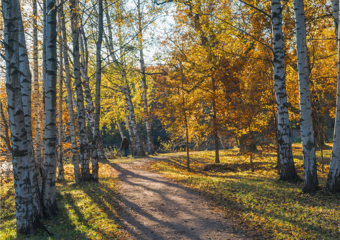 *** ����� Vitaly Konakov �� PhotoGeek.ru #������ ��� ������� #����� ��������