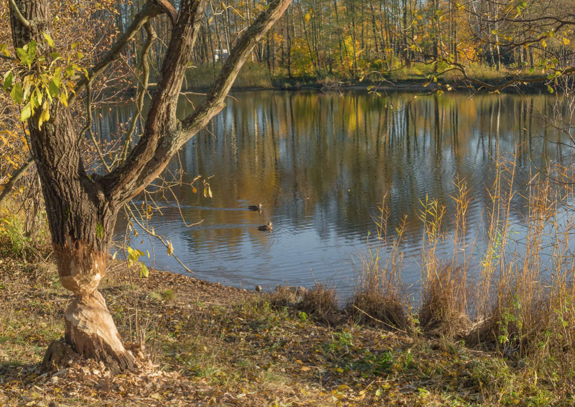 *** ����� Vitaly Konakov �� PhotoGeek.ru #������ ��� ������� #����� ��������