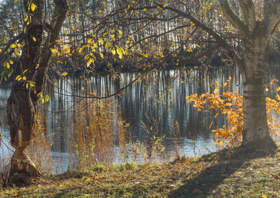 *** ����� Vitaly Konakov �� PhotoGeek.ru #������ ��� ������� #����� ��������