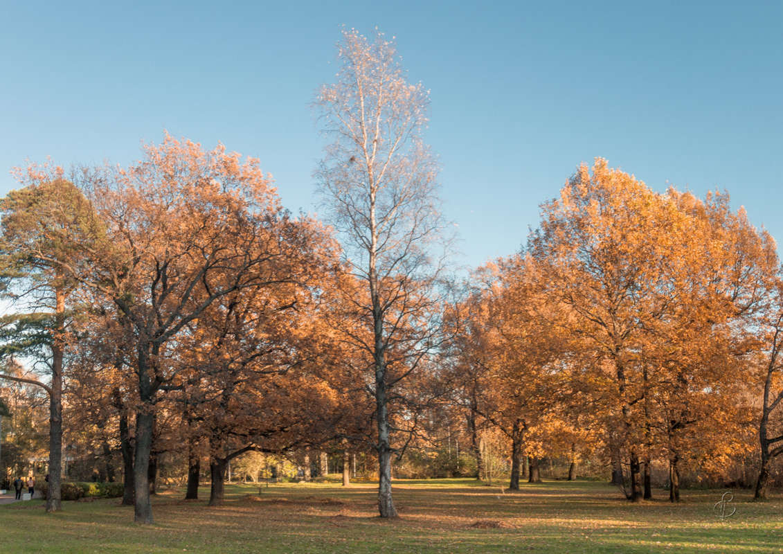 *** ����� Vitaly Konakov �� PhotoGeek.ru #������ ��� ������� #����� ��������