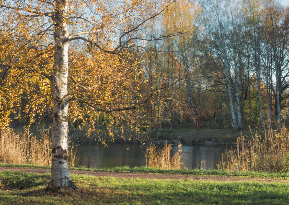 *** ����� Vitaly Konakov �� PhotoGeek.ru #������ ��� ������� #����� ��������