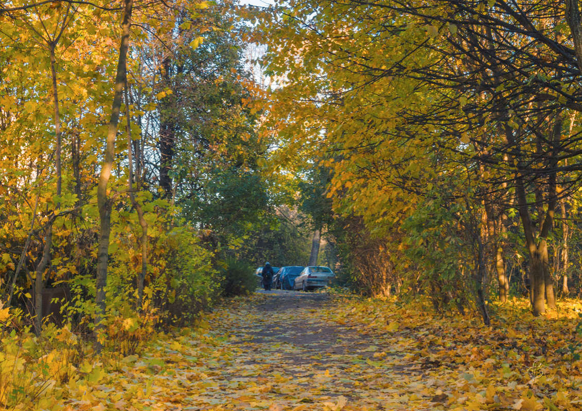 *** ����� Vitaly Konakov �� PhotoGeek.ru #����� #��������� ������