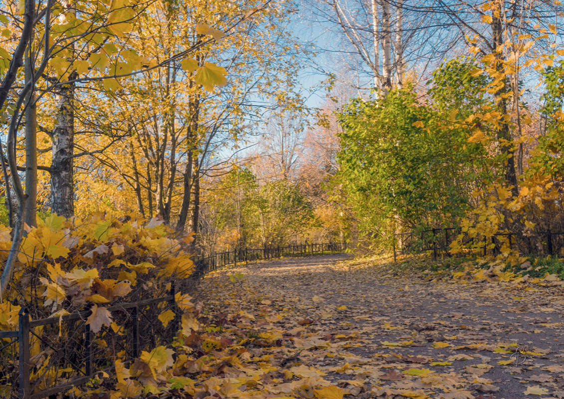 *** ����� Vitaly Konakov �� PhotoGeek.ru #����� #��������� ������