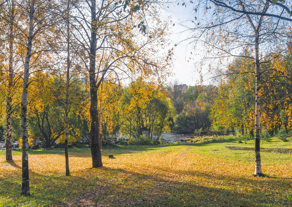 *** ����� Vitaly Konakov �� PhotoGeek.ru #������ ��� ������� #����� ��������