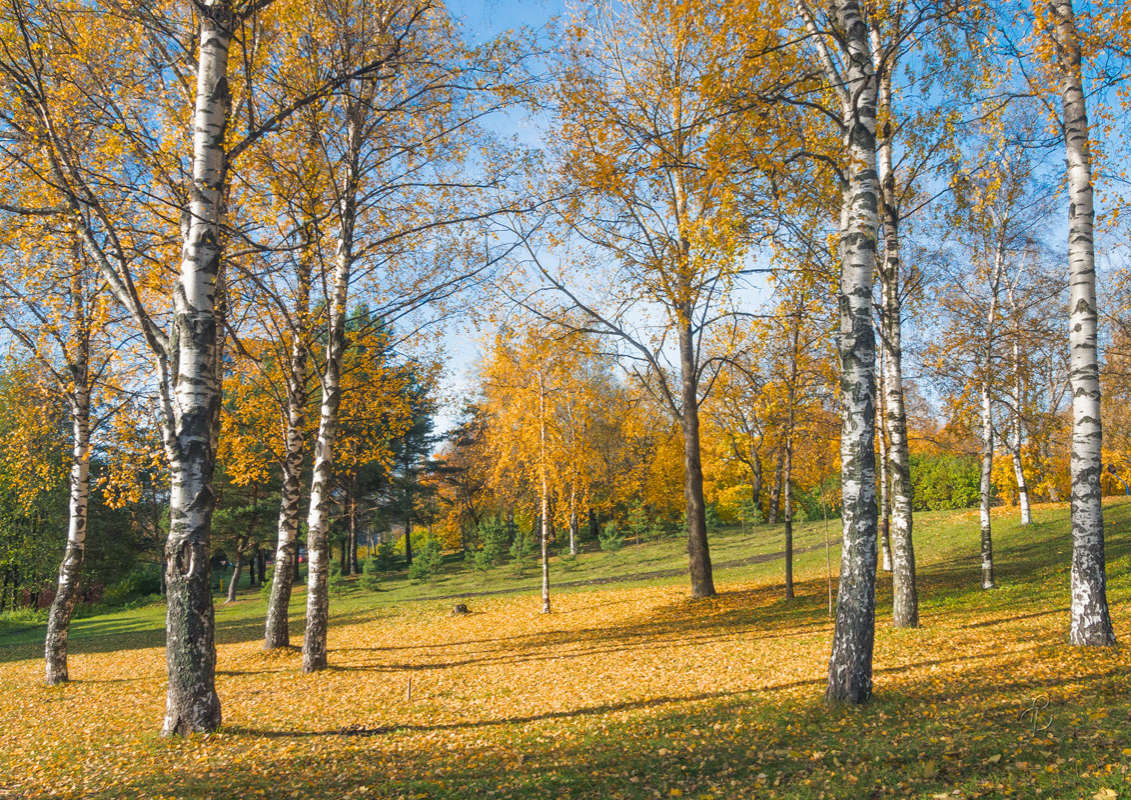 *** ����� Vitaly Konakov �� PhotoGeek.ru #������ ��� ������� #����� ��������