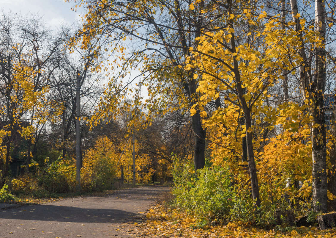 *** ����� Vitaly Konakov �� PhotoGeek.ru #������ ��� ������� #����� ��������