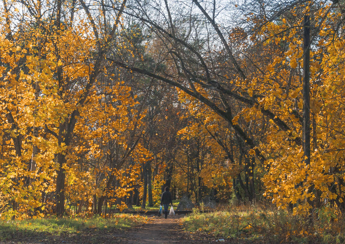 *** ����� Vitaly Konakov �� PhotoGeek.ru #������ ��� ������� #����� ��������