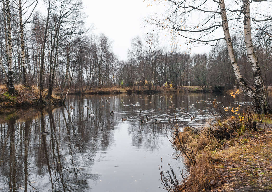 *** ����� Vitaly Konakov �� PhotoGeek.ru #������ ��� ������� #����� ��������