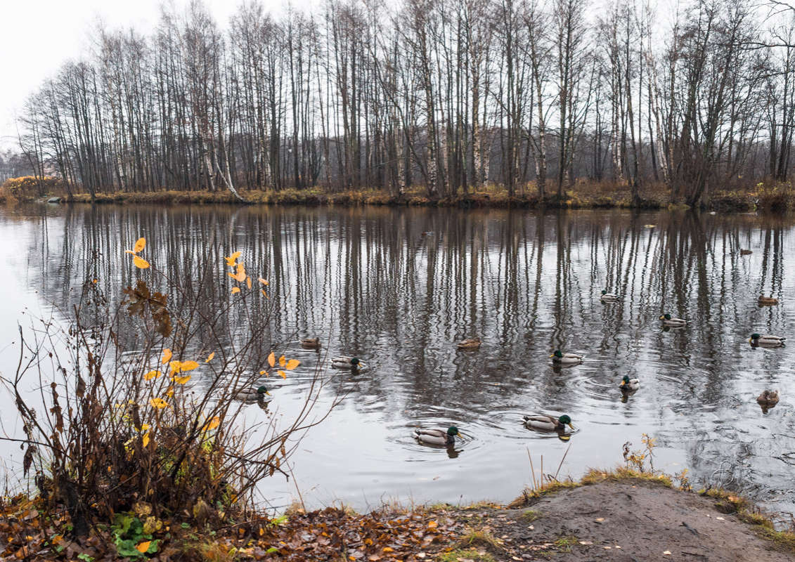 *** ����� Vitaly Konakov �� PhotoGeek.ru #������ ��� ������� #����� ��������