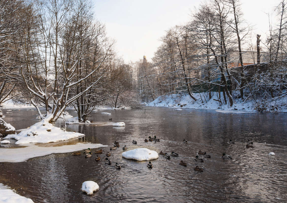 *** ����� Vitaly Konakov �� PhotoGeek.ru #������ ��� ������� #����� ��������