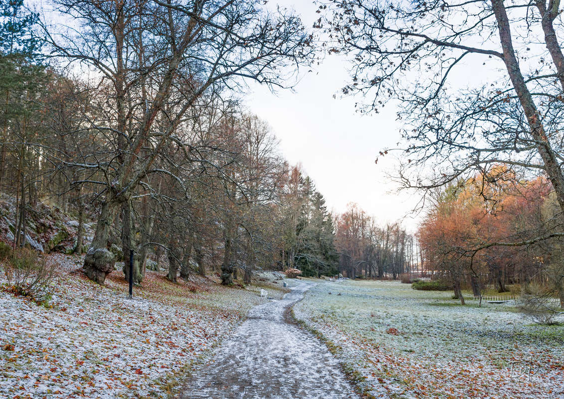 *** ����� Vitaly Konakov �� PhotoGeek.ru #������ ��� ������� #����� ��������