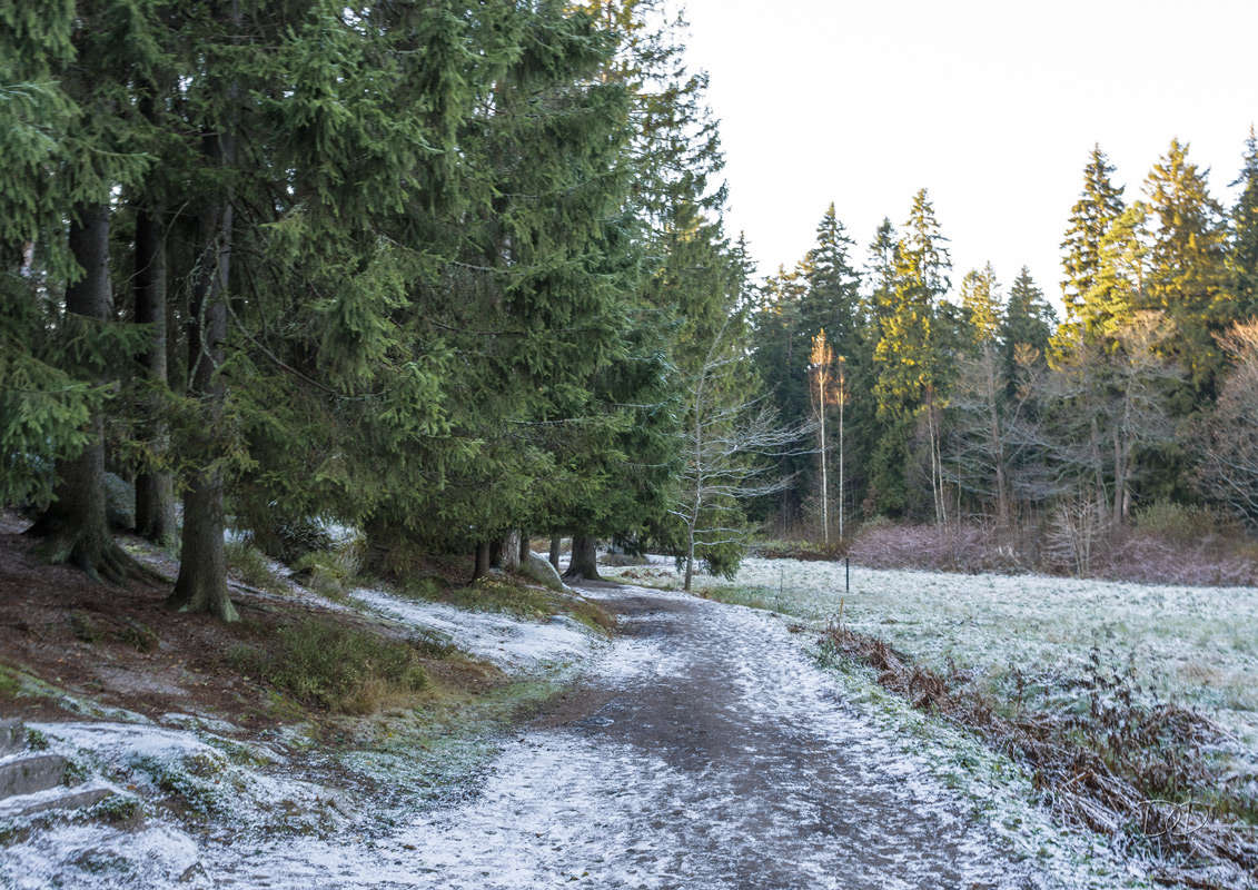 *** ����� Vitaly Konakov �� PhotoGeek.ru #������ ��� ������� #����� ��������