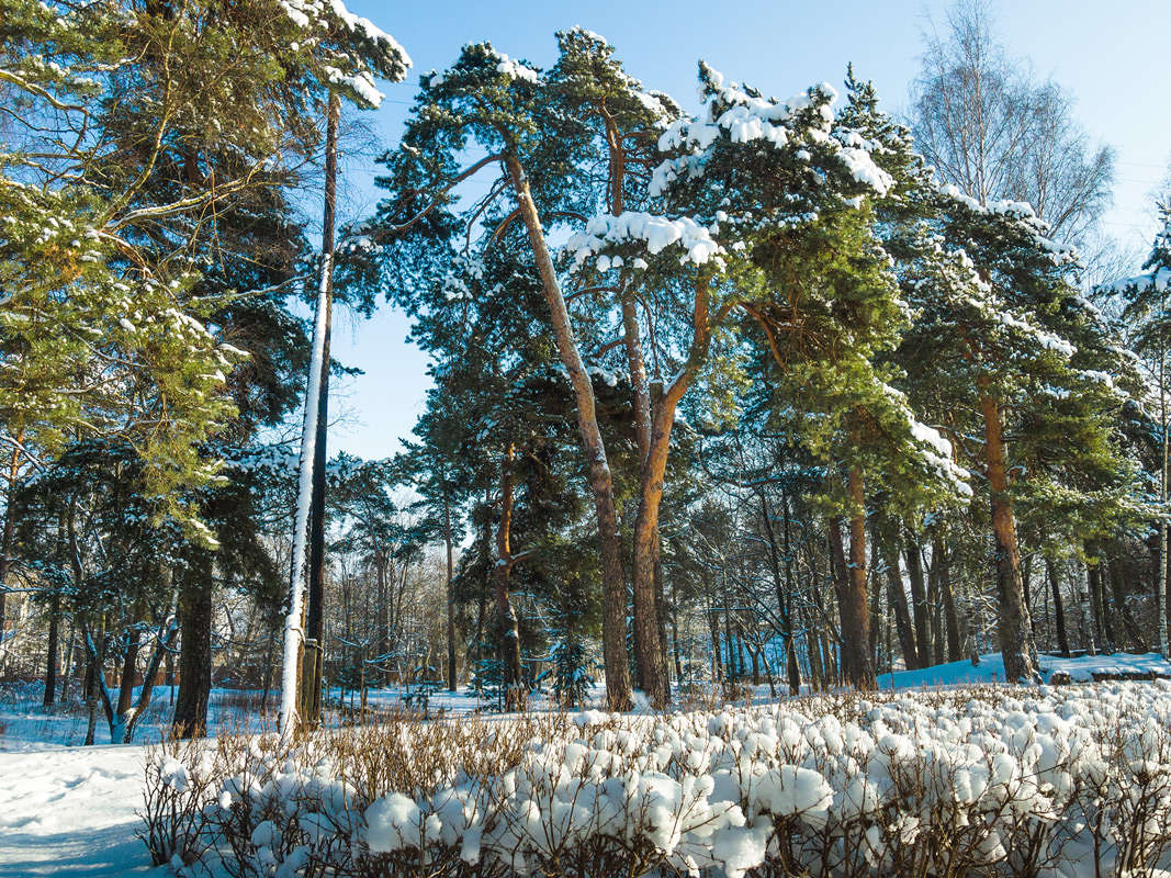 *** ����� Vitaly Konakov �� PhotoGeek.ru #������ ��� ������� #����� ��������