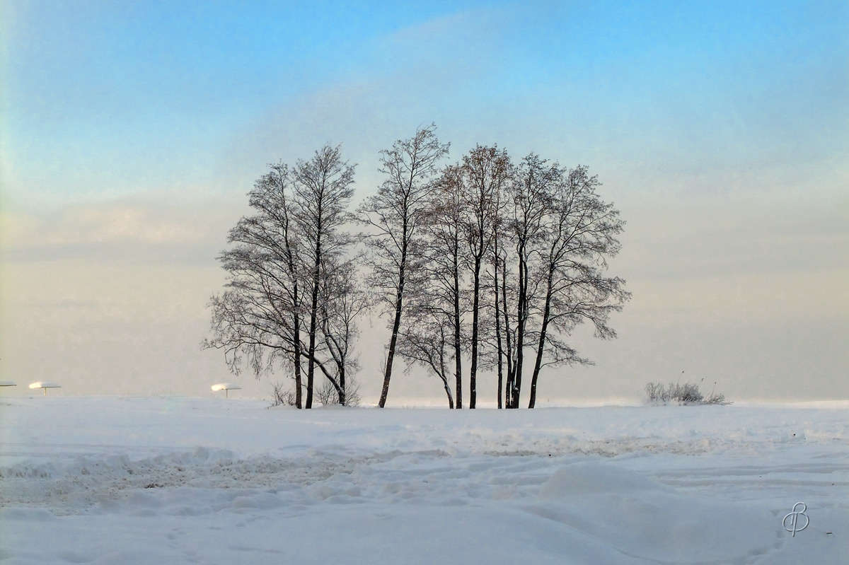 �������� ��� �� ������ �������� ������ ����� Vitaly Konakov �� PhotoGeek.ru #������ ��� ������� #����� ��������