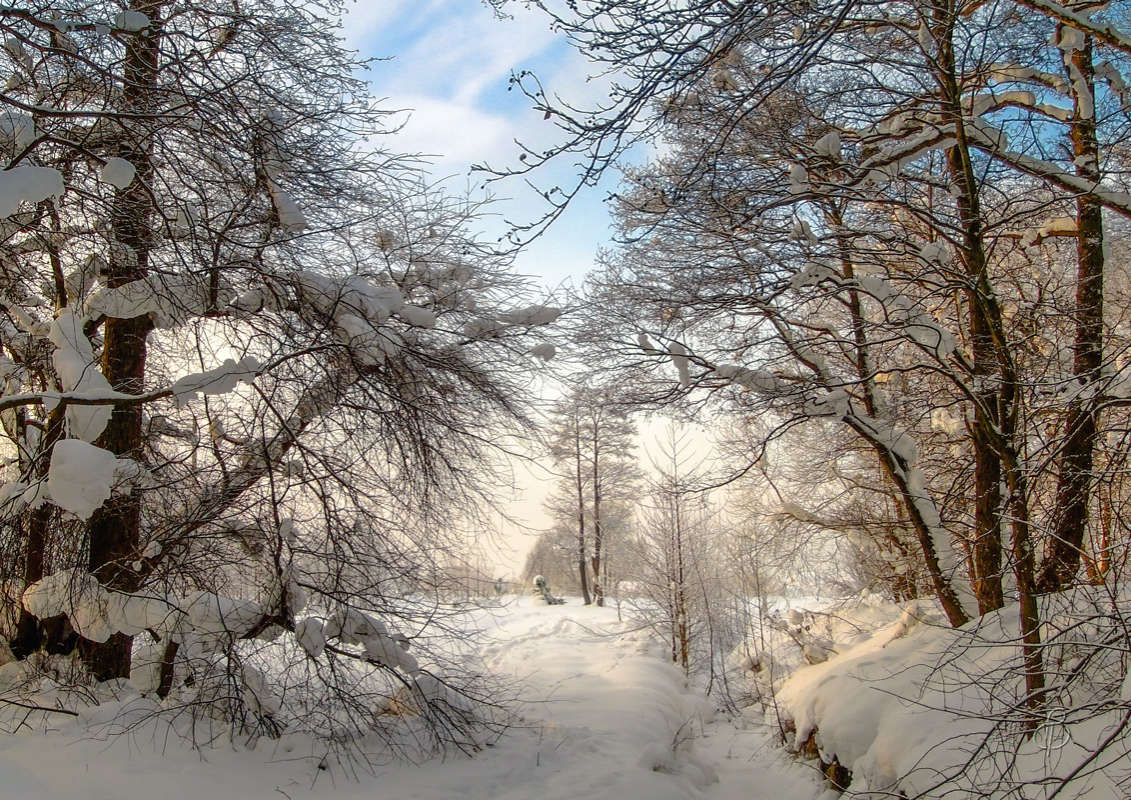 ������ ������ ����� Vitaly Konakov �� PhotoGeek.ru #������ ��� ������� #����� ��������