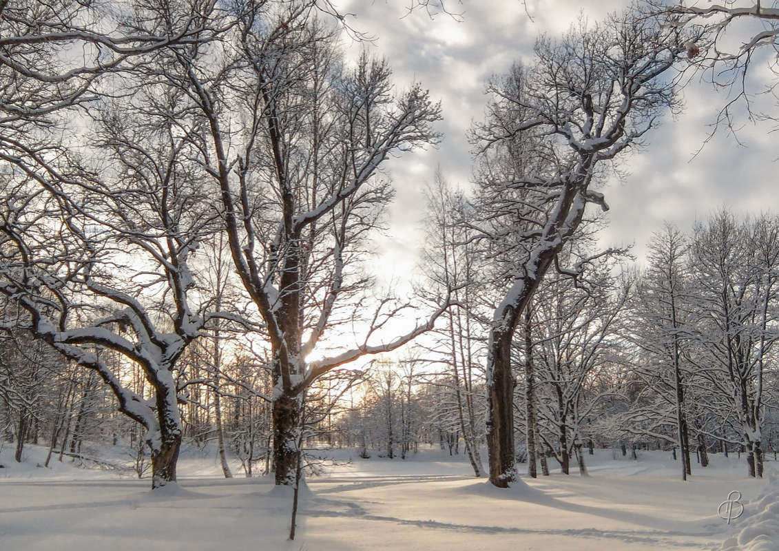 *** ����� Vitaly Konakov �� PhotoGeek.ru #������ ��� ������� #����� ��������