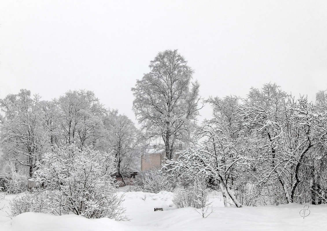 *** ����� Vitaly Konakov �� PhotoGeek.ru #������ ��� ������� #����� ��������