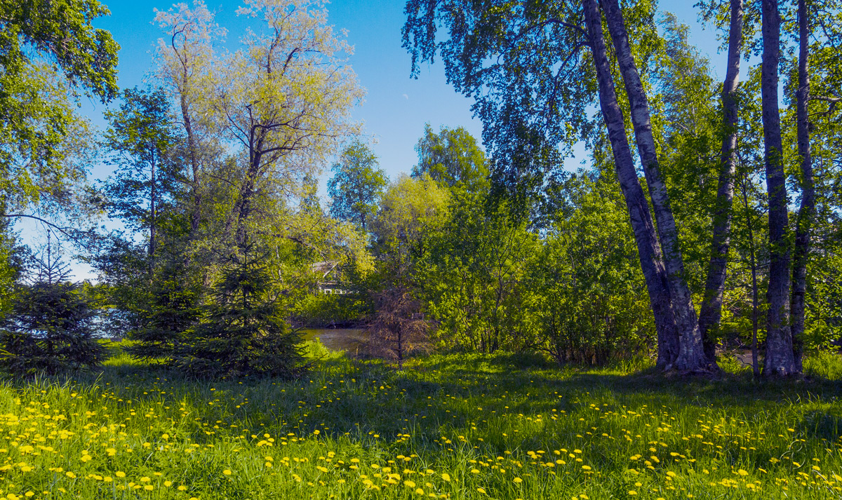 � ����� ��� ����� Vitaly Konakov �� PhotoGeek.ru #������ ��� ������� #����� ��������