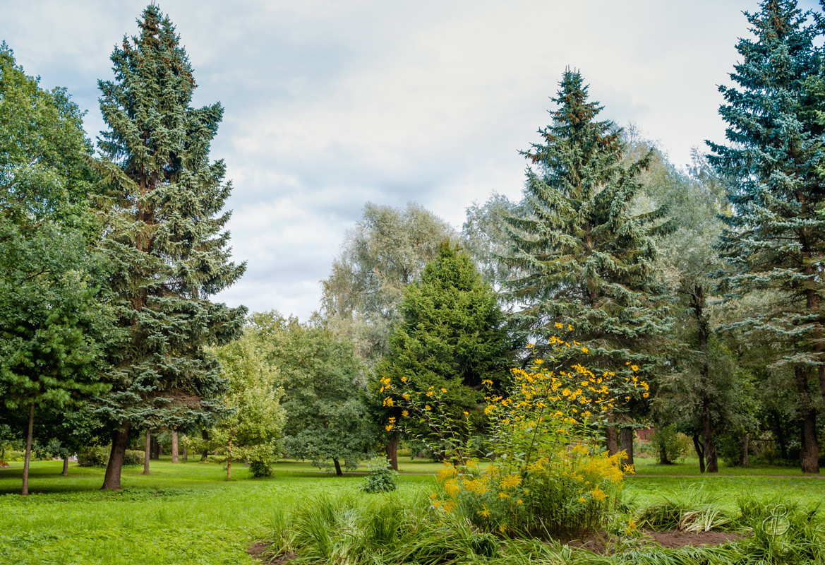 � ��������� ����� (2) ����� Vitaly Konakov �� PhotoGeek.ru #������ ��� ������� #����� ��������