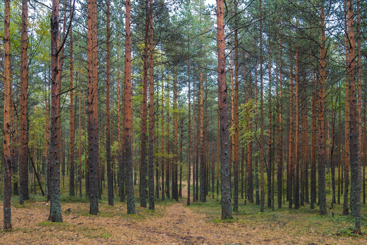 � ������� ����� Vitaly Konakov �� PhotoGeek.ru #������ ��� ������� #����� ��������