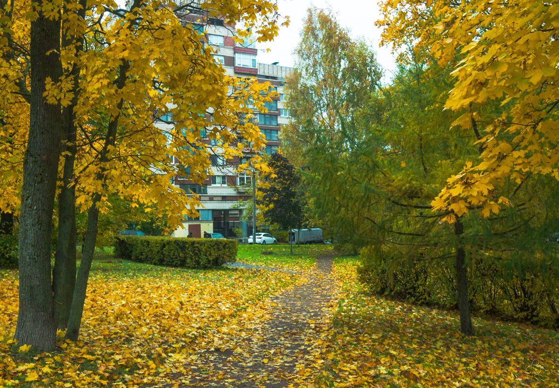 �������� �� �������� ������ (2) ����� Vitaly Konakov �� PhotoGeek.ru #����� #������ ��� ������� #����� ��������