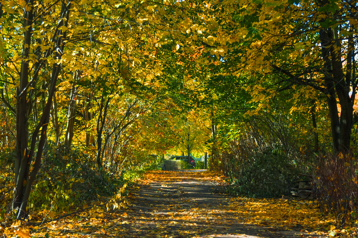 �������� �� �������� ������ (88) ����� Vitaly Konakov �� PhotoGeek.ru #����� #��������� ������