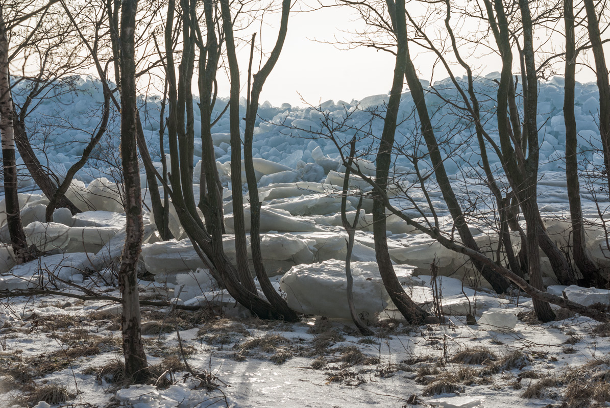 Последний рубеж автор Vitaly Konakov на PhotoGeek.ru #Пейзаж или природа #Среда обитания