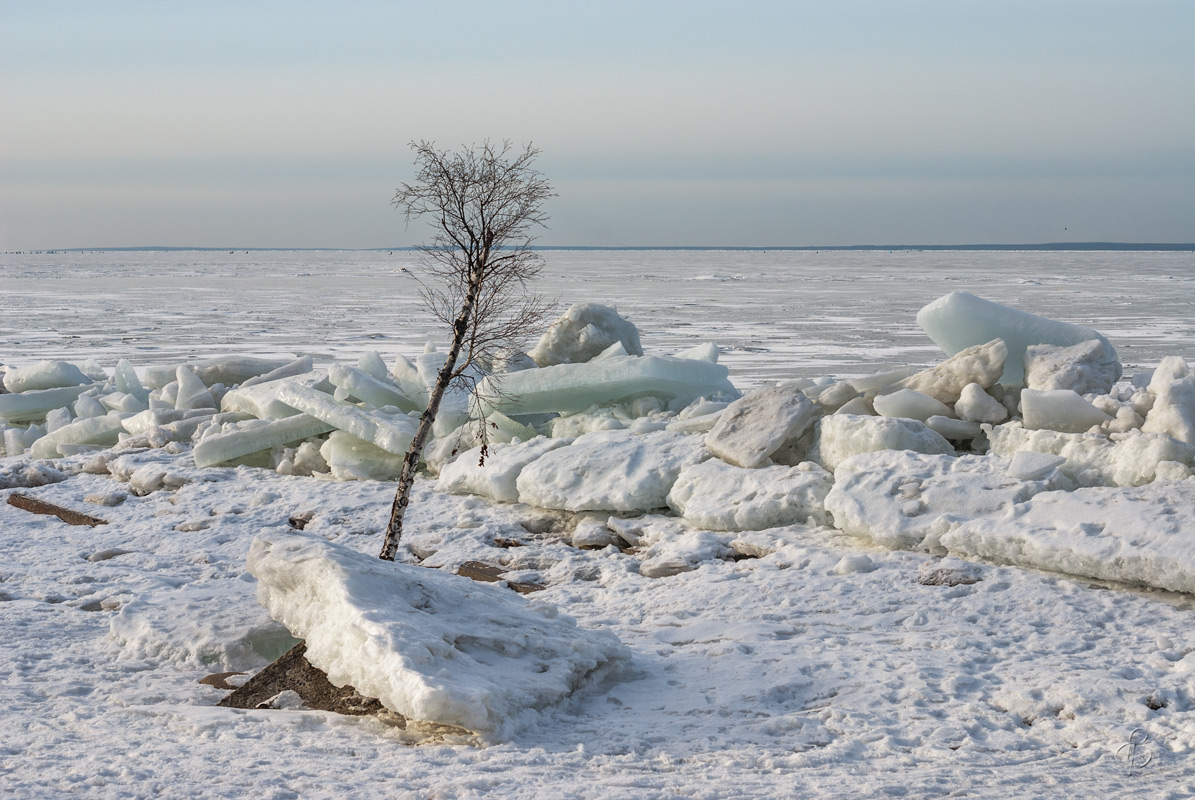 Устояла автор Vitaly Konakov на PhotoGeek.ru #Пейзаж или природа #Среда обитания