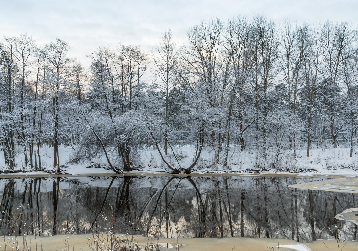 Тихие воды автор Vitaly Konakov на PhotoGeek.ru #Пейзаж или природа #Среда обитания