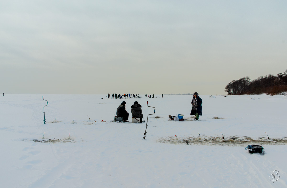 Эти короткие зимние дни автор Vitaly Konakov на PhotoGeek.ru #Пейзаж или природа #Среда обитания