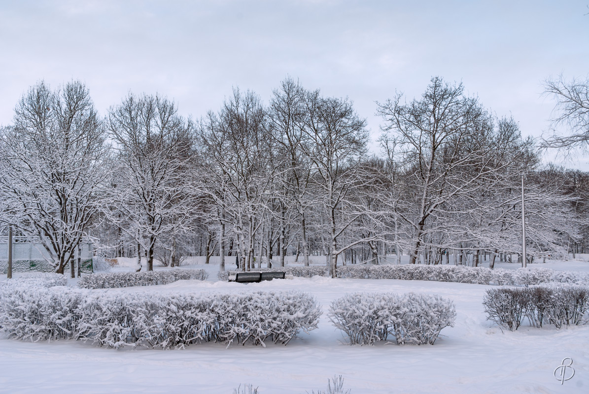 Зимние сумерки 1 автор Vitaly Konakov на PhotoGeek.ru #Пейзаж или природа #Среда обитания