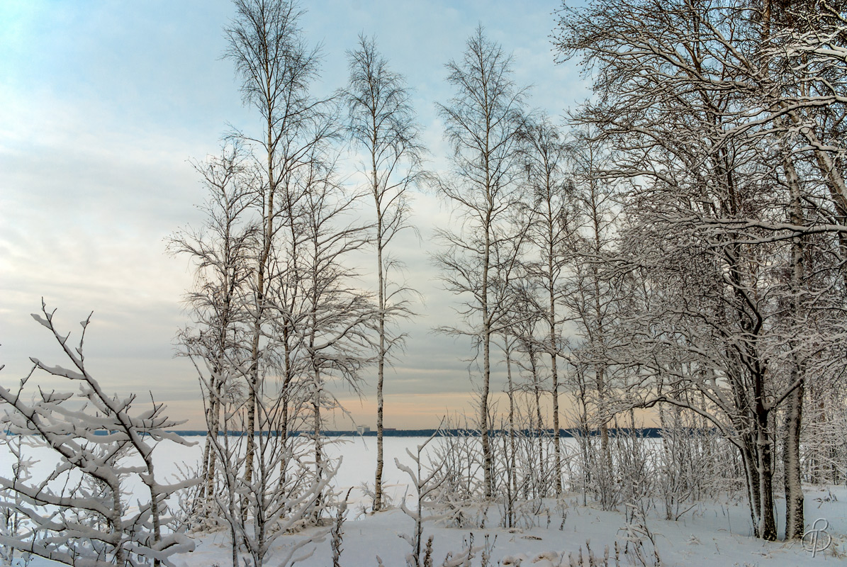 Зимние сумерки 6 автор Vitaly Konakov на PhotoGeek.ru #Пейзаж или природа #Среда обитания