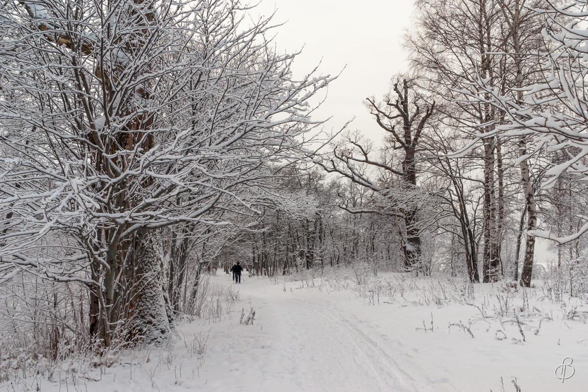 Зимние сумерки 7 автор Vitaly Konakov на PhotoGeek.ru #Пейзаж или природа #Среда обитания