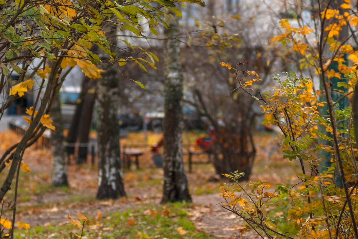 Осенний Двор Фото
