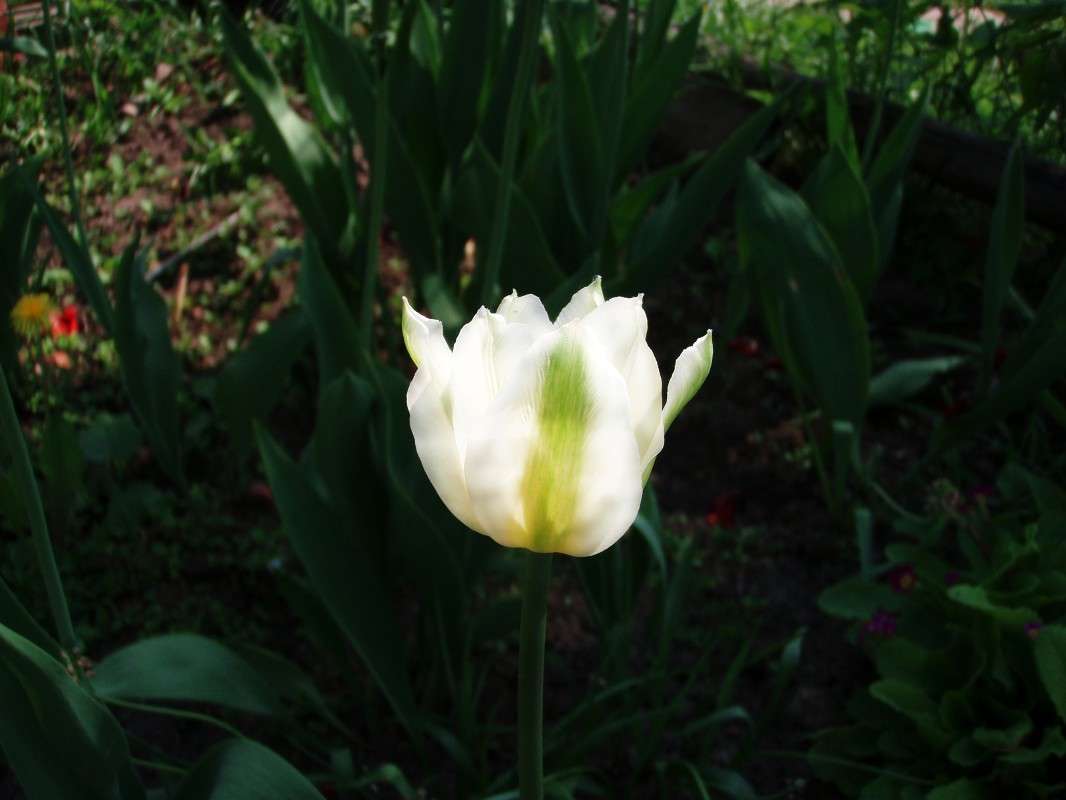 ������� ����� �������� ������� �� PhotoGeek.ru #������ ��� �������