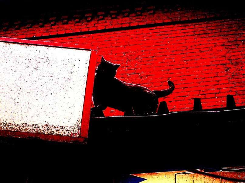 ������� ���� ����� �������� ������� �� PhotoGeek.ru #����� #�������� ���