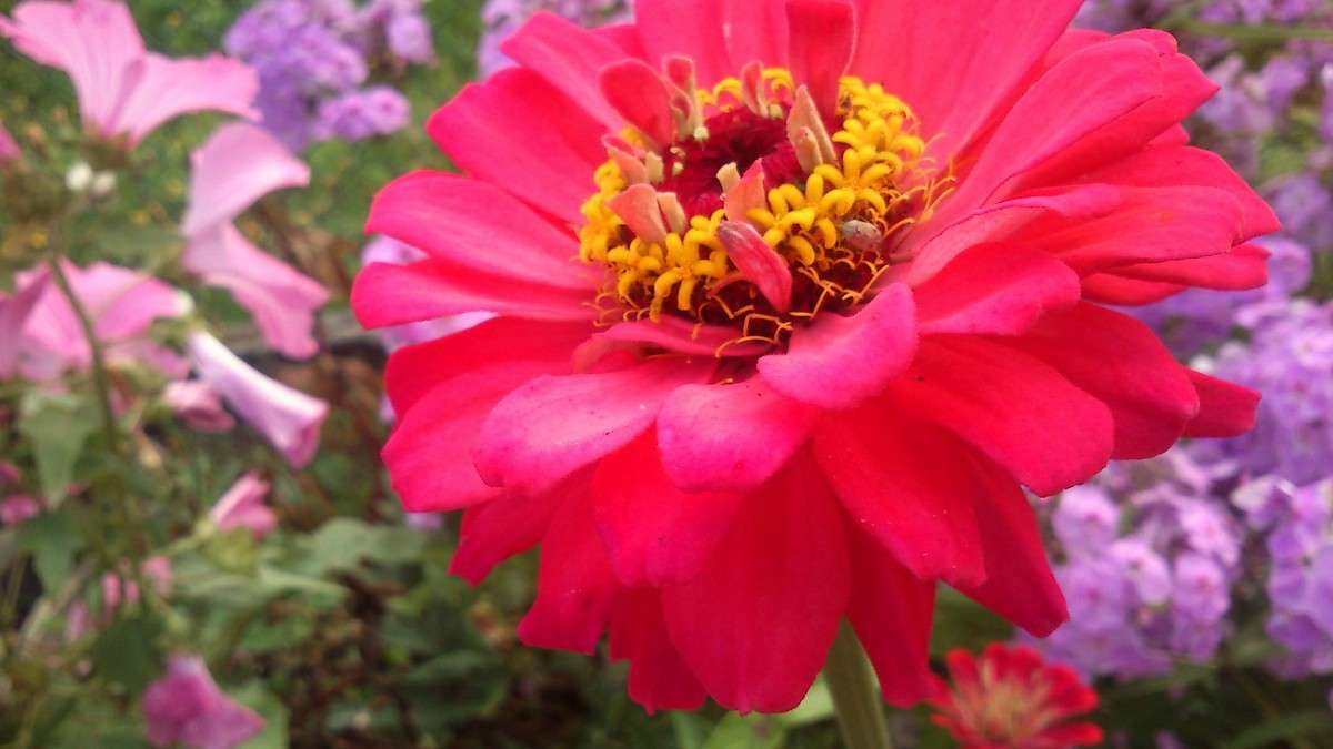 ���� ����� ����� �������� ������� �� PhotoGeek.ru #������ ��� �������