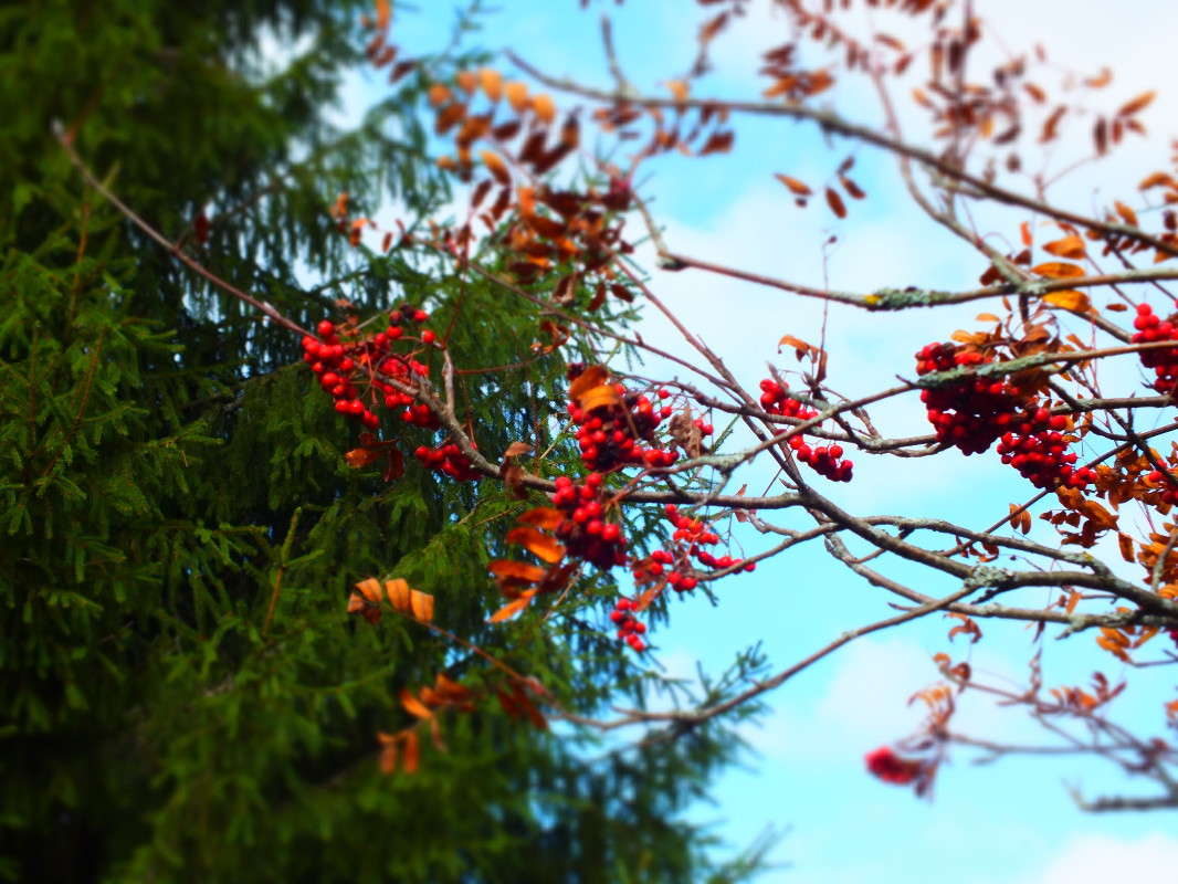 �� ���� � ����� ����� �������� ������� �� PhotoGeek.ru #������ ��� ������� #����� ��������������