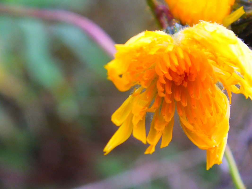 �����-�����, ��������� ����� �������� ������� �� PhotoGeek.ru #����� #������ ��� ������� #����� ��������������