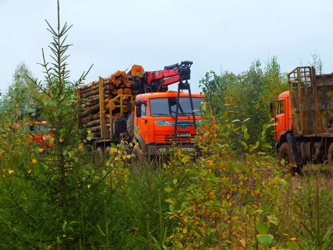 ������� � ��������� ����� �������� ������� �� PhotoGeek.ru #������ ��� �������