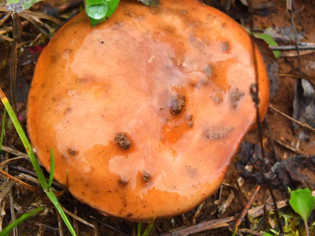 ������ ��������� ����� �������� ������� �� PhotoGeek.ru #������ ��� �������