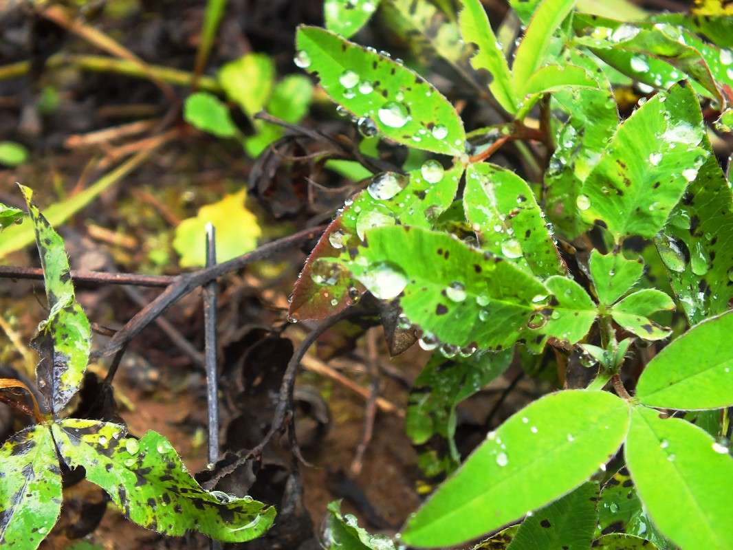 ������� �������� ����� �������� ������� �� PhotoGeek.ru #����� #������ ��� ������� #����� ��������������