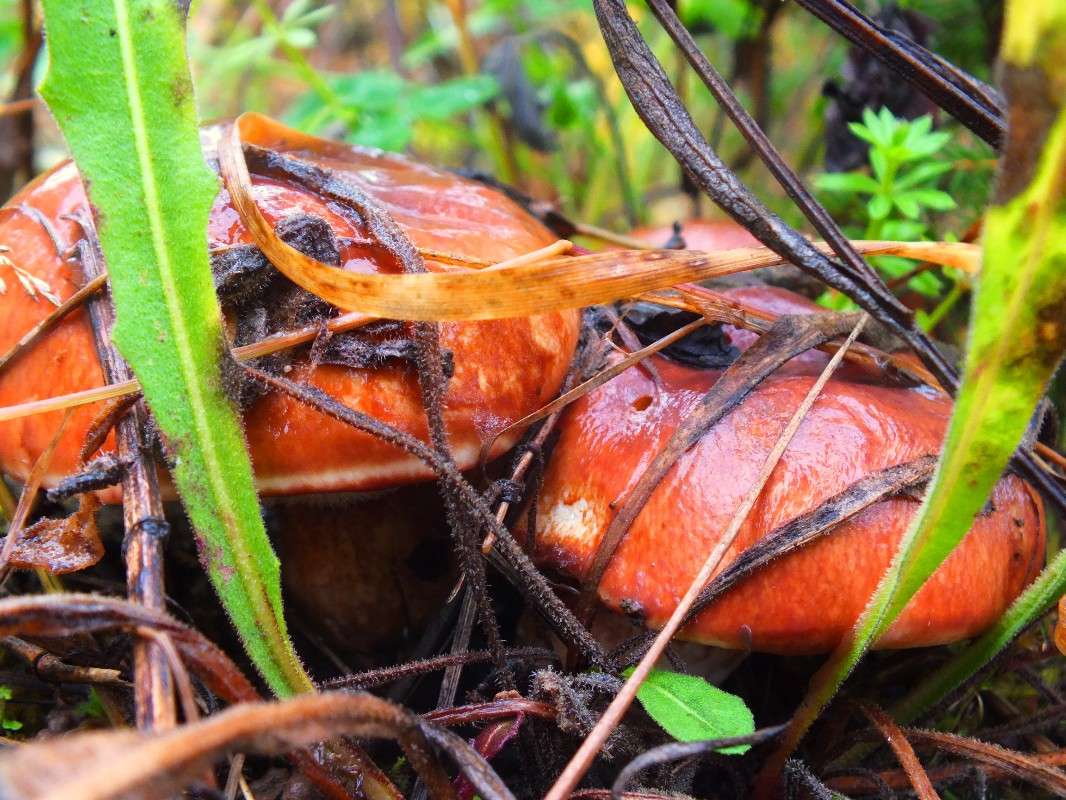 ������ ����� �������� ������� �� PhotoGeek.ru #����� #������ ��� �������