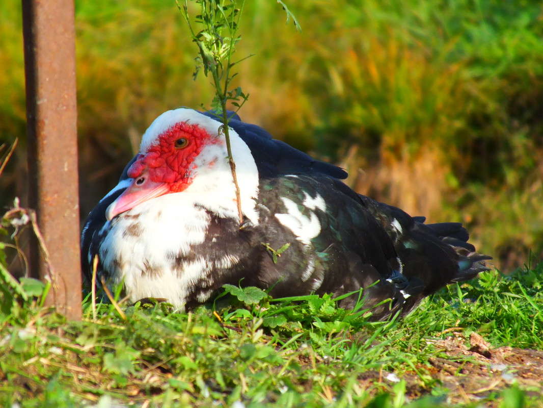 ��������� ����� �������� ������� �� PhotoGeek.ru #�������� ���