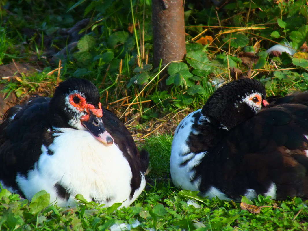 �� ���� ����� �������� ������� �� PhotoGeek.ru #�������� ���