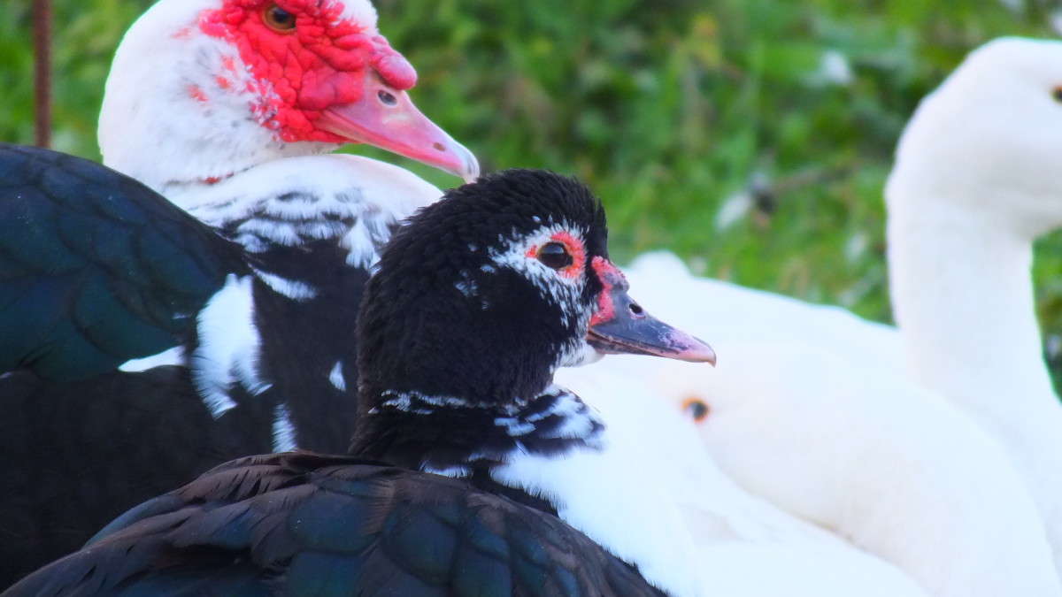 ������ ������ ����� �������� ������� �� PhotoGeek.ru #�������� ���