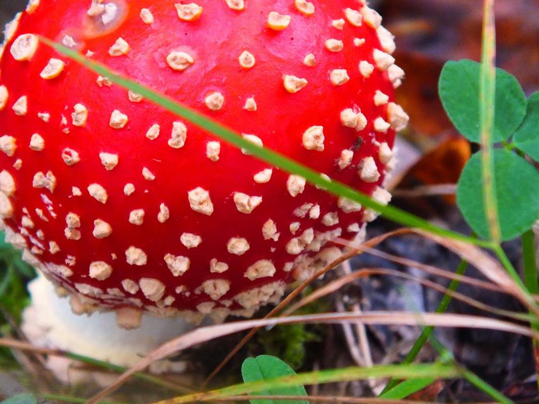 ������-����� ����� �������� ������� �� PhotoGeek.ru #������ ��� �������